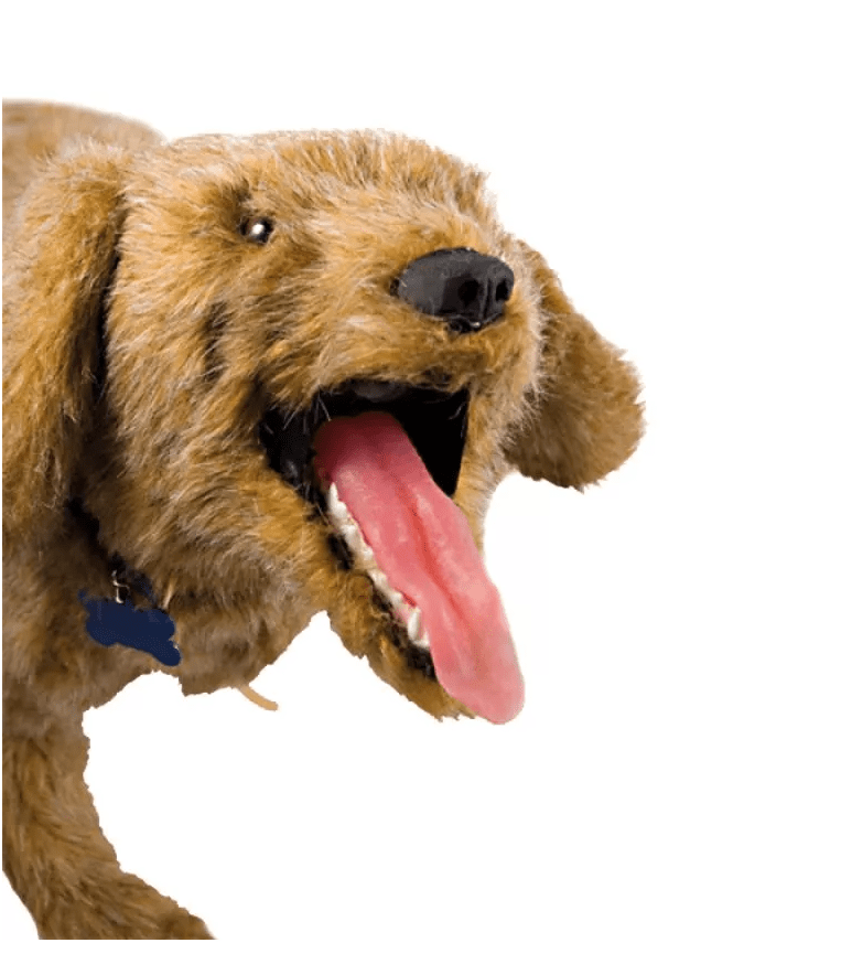 Jerry K - 9 HLW Übungspuppe - Erler - Zimmer